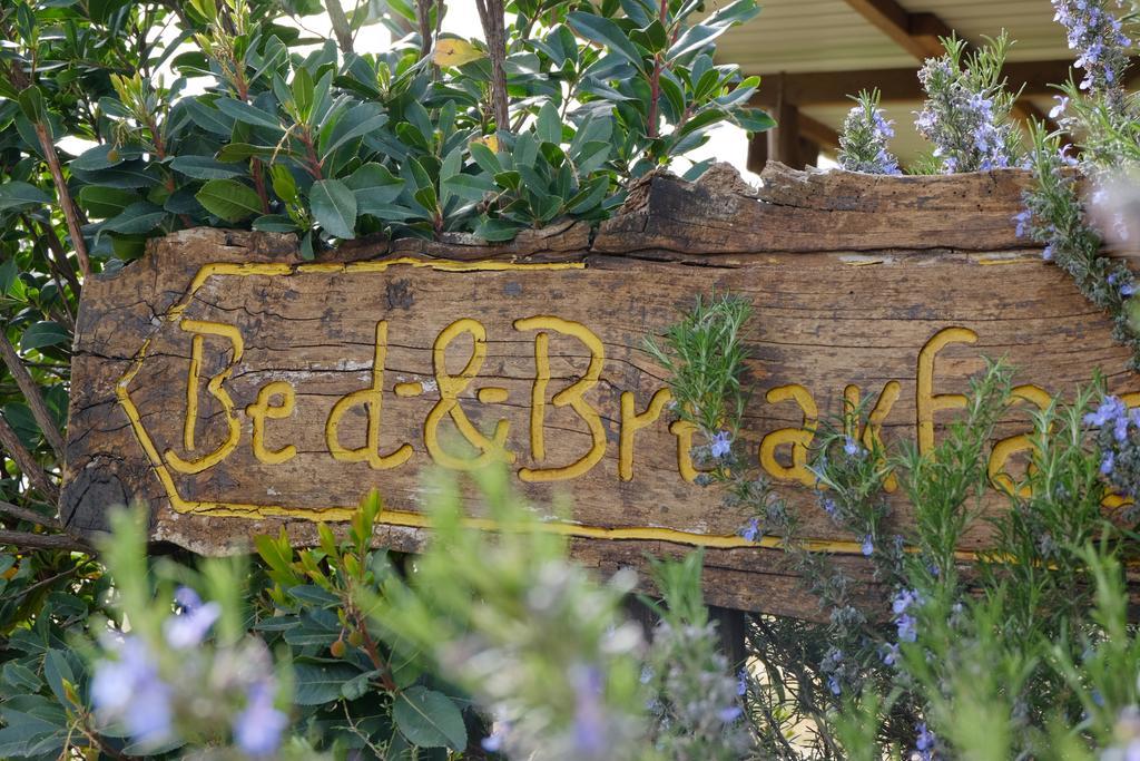 B&B Podere Ospedaletto Bolsena Exterior foto