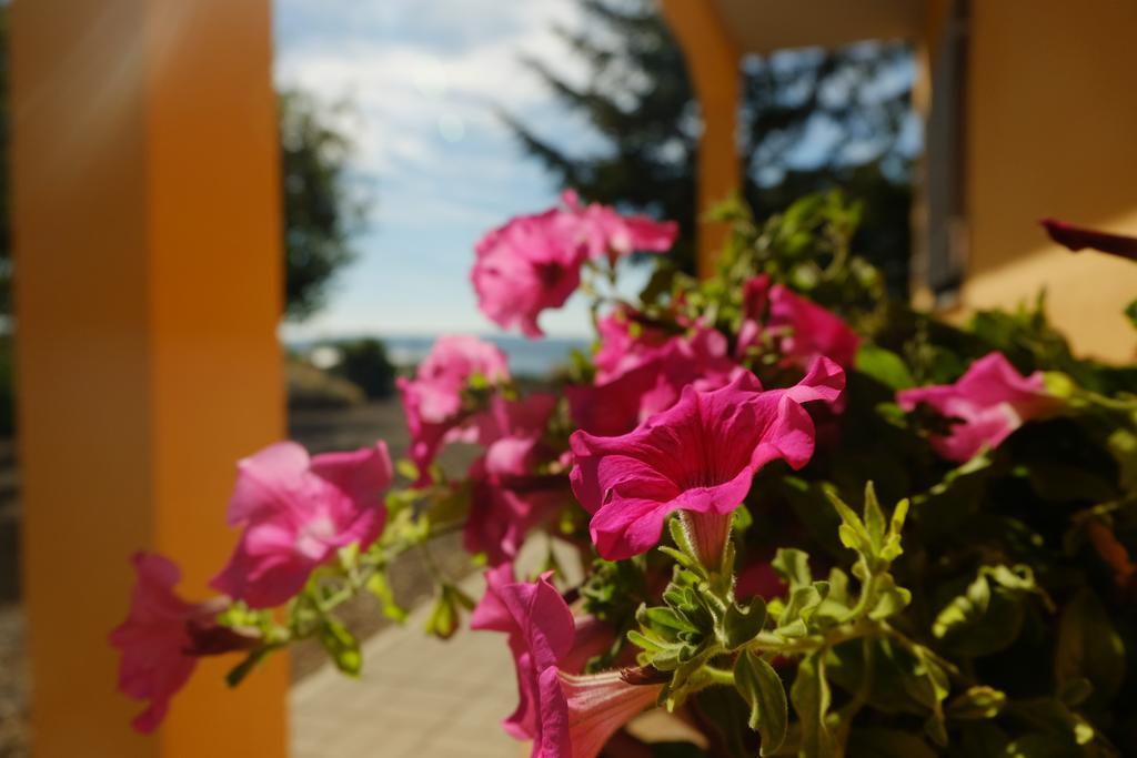 B&B Podere Ospedaletto Bolsena Exterior foto